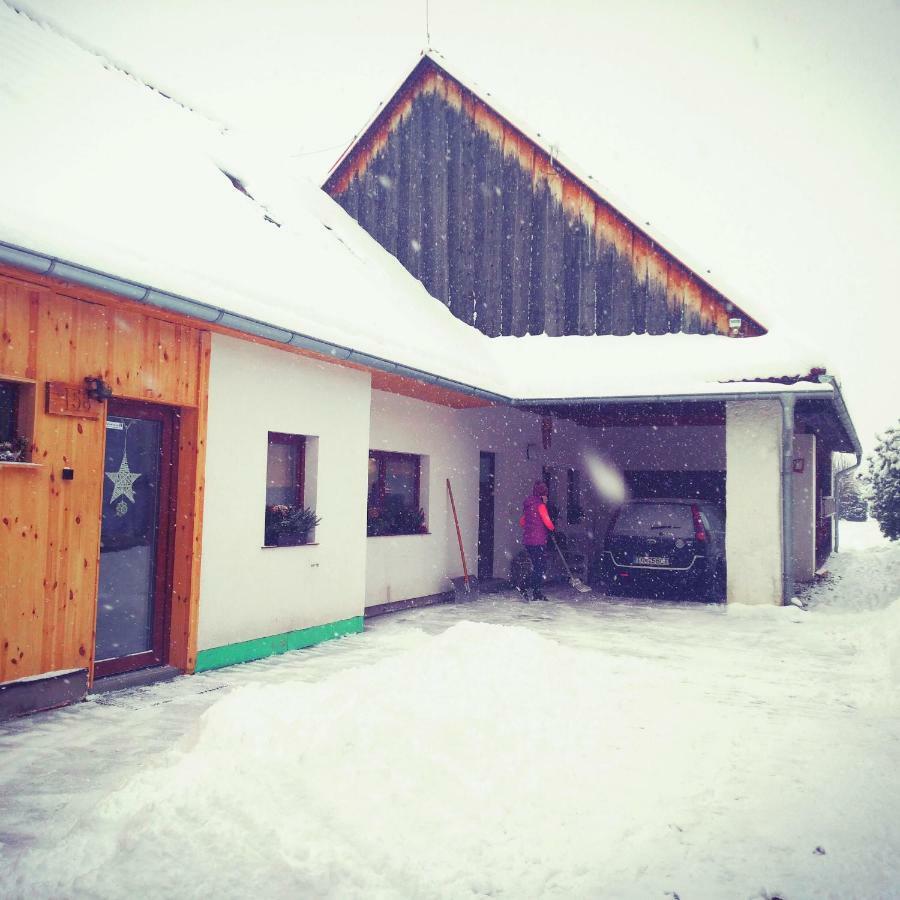 Vidiecky apartmán Kubo Paucsinalehota Kültér fotó